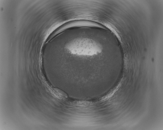 X0000087381077200704271551