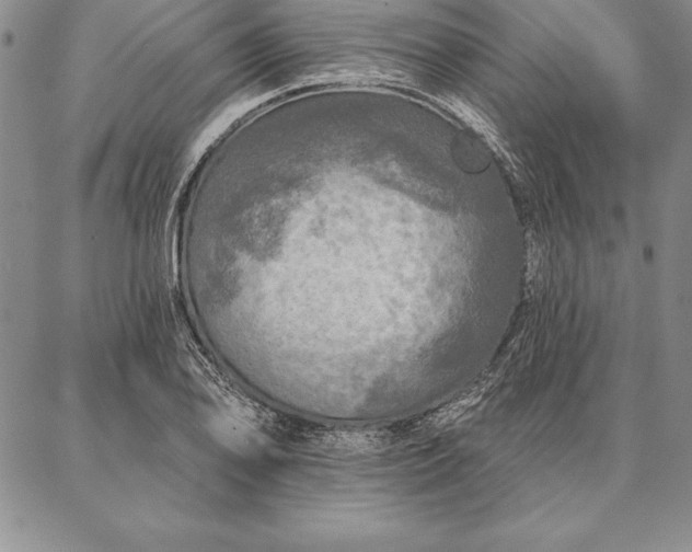 X0000087381078200704271551