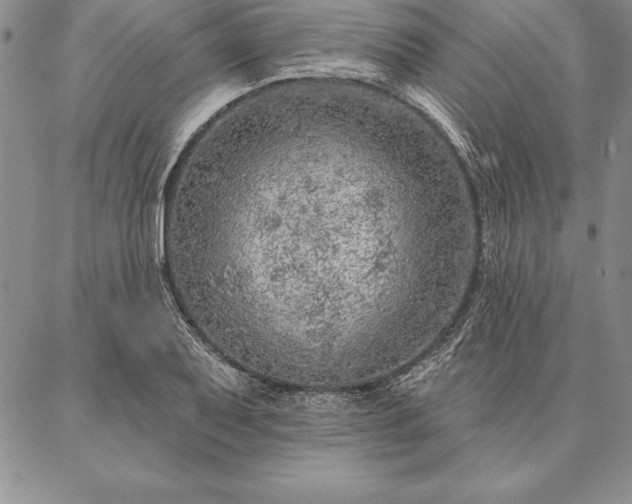 X0000087381079200704271551