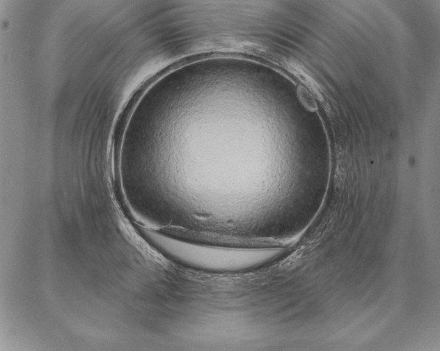 X0000087381080200704271551