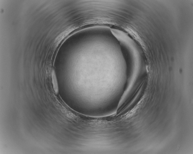 X0000087381081200704271551