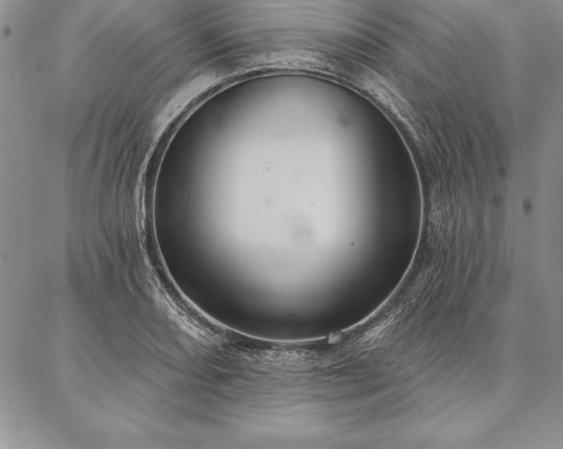 X0000087381082200704271551