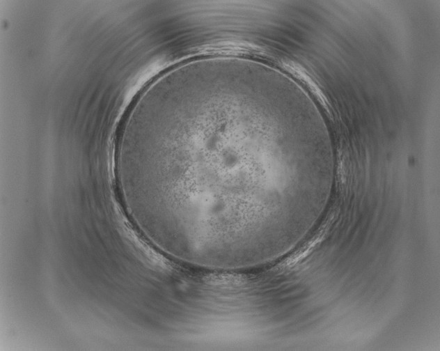 X0000087381083200704271551