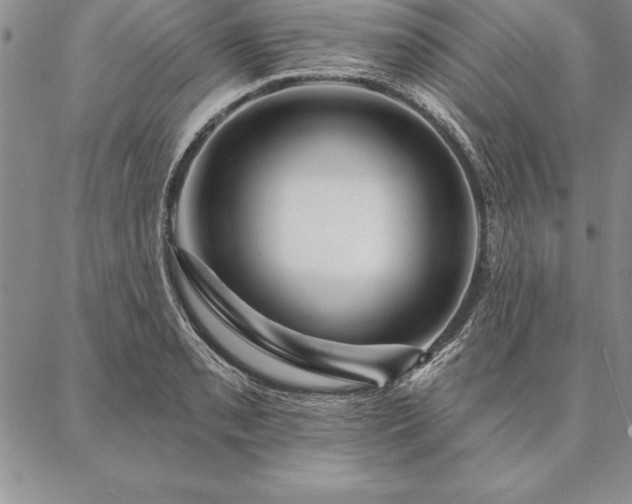 X0000087381085200704271551