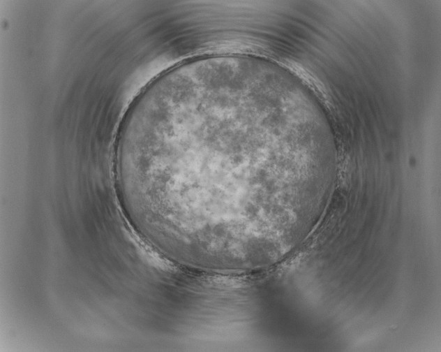 X0000087381086200704271551