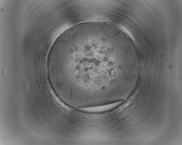 X0000087381087200704271551