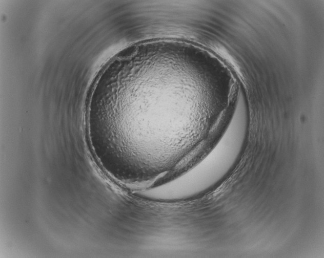 X0000087381088200704271551