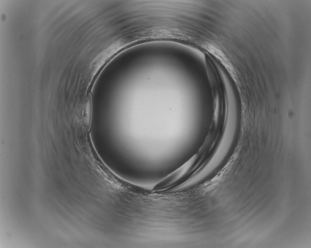 X0000087381089200704271551