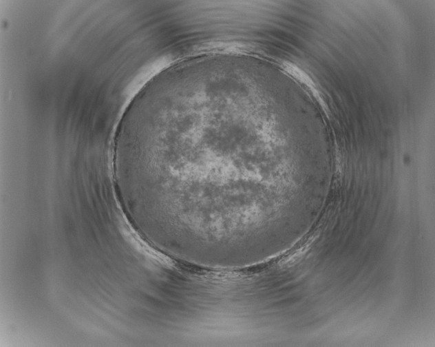 X0000087381090200704271551