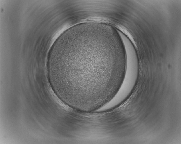 X0000087381091200704271551