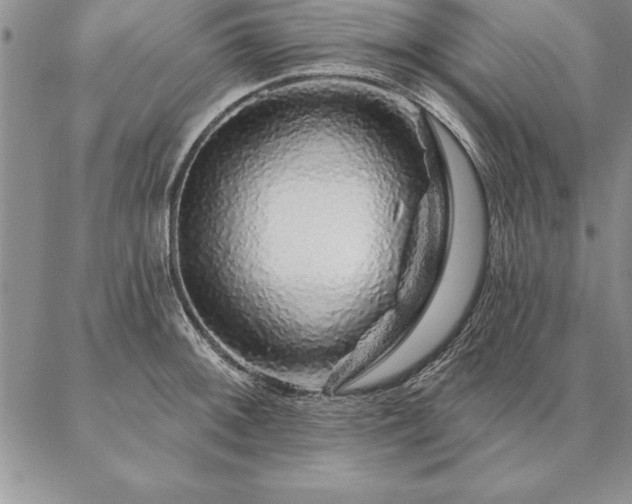 X0000087381092200704271551