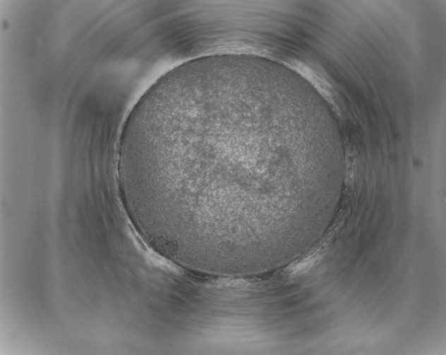 X0000087381094200704271551