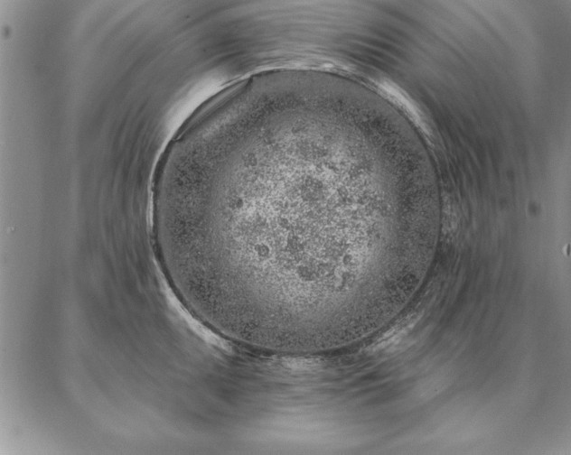 X0000087381095200704271551