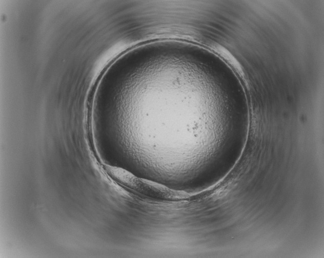 X0000087381096200704271551