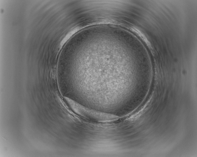 X0000087381097200704271551