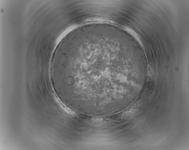 X0000087381098200704271551