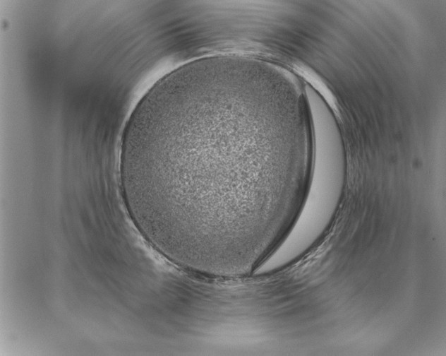 X0000087381099200704271551