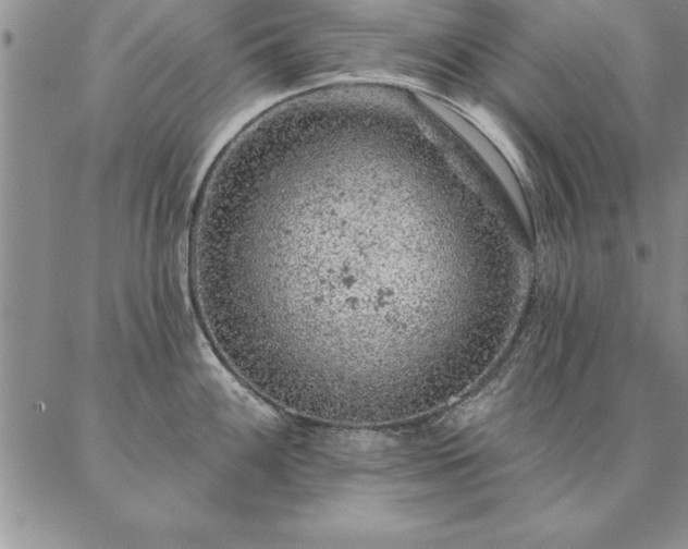 X0000087381100200704271551