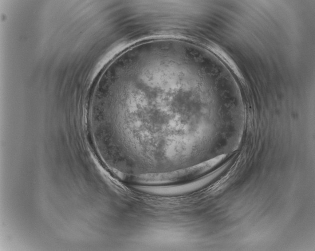 X0000087381101200704271551