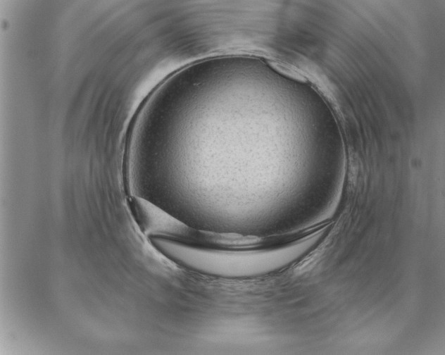 X0000087381102200704271551