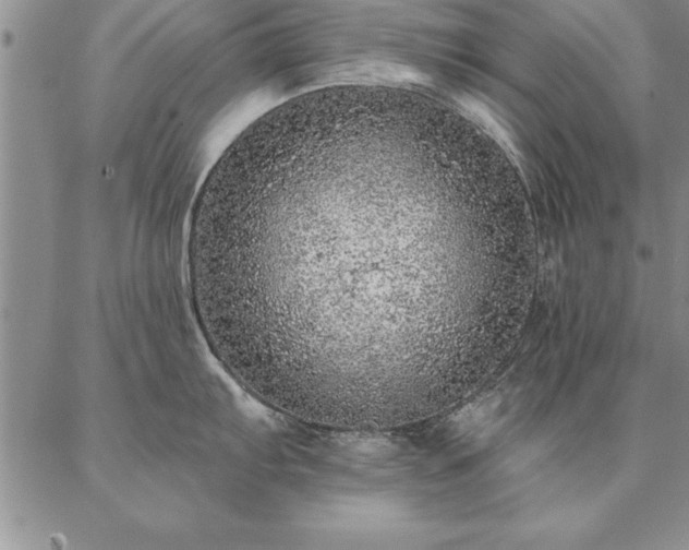 X0000087381103200704271551