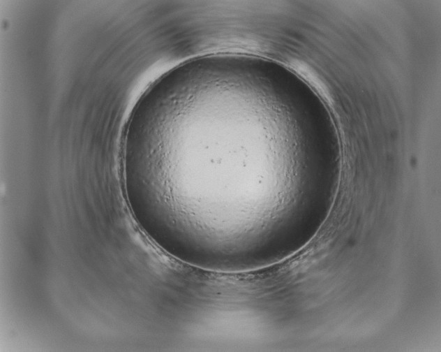 X0000087381104200704271551