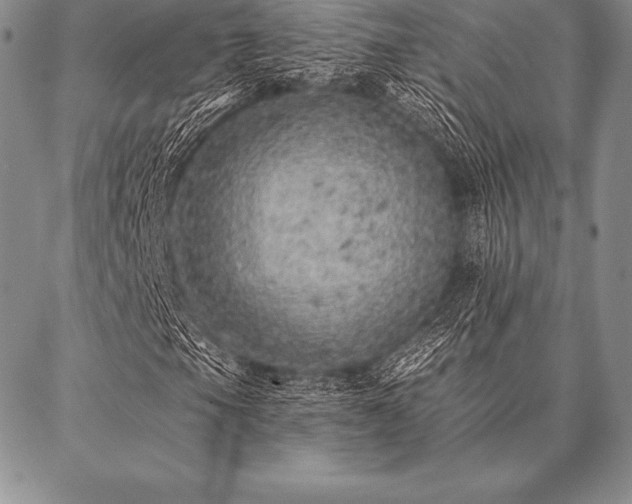 X0000087381105200704271550