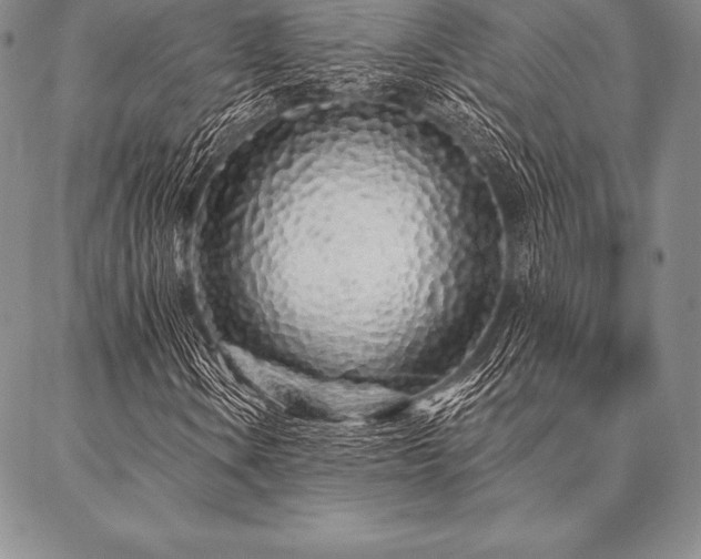 X0000087381106200704271550