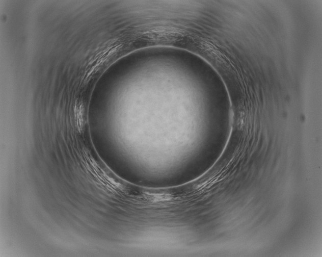 X0000087381108200704271550