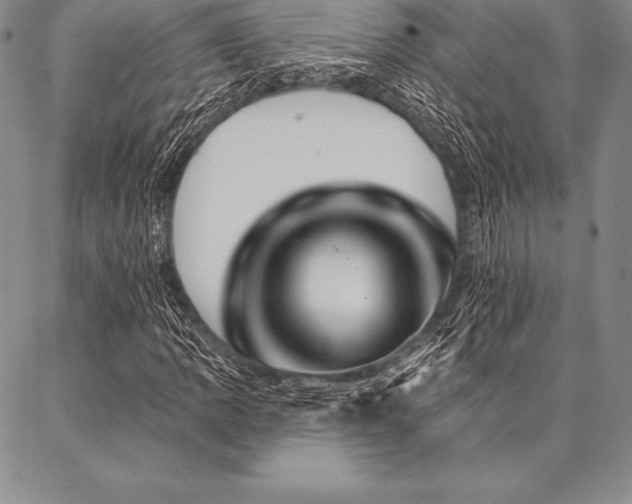 X0000087381109200704271550