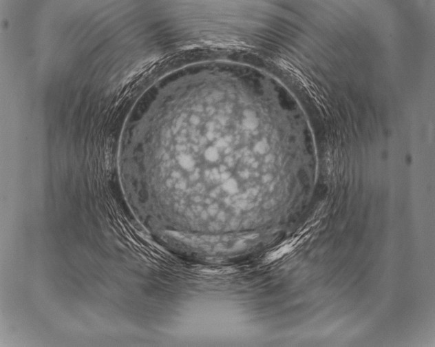 X0000087381110200704271550