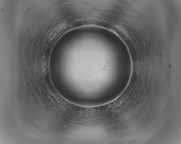 X0000087381111200704271550