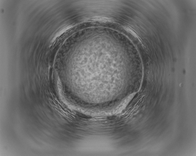 X0000087381112200704271550