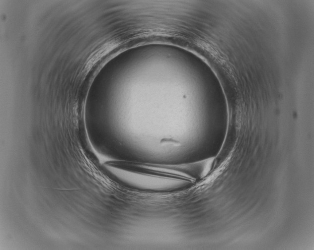 X0000087381113200704271550