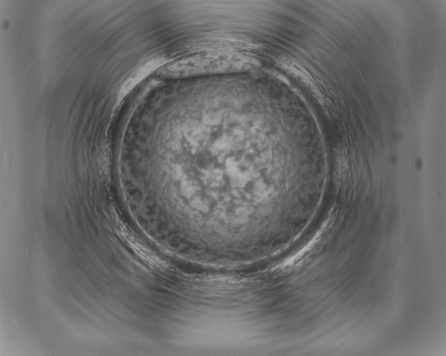 X0000087381114200704271550