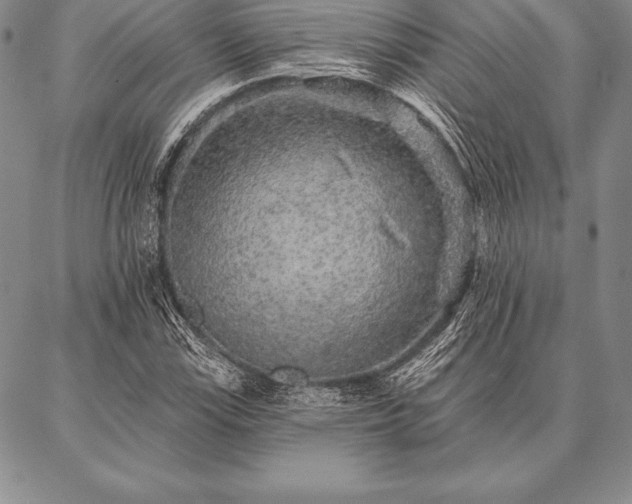 X0000087381115200704271550