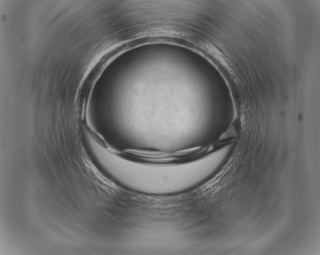 X0000087381116200704271550