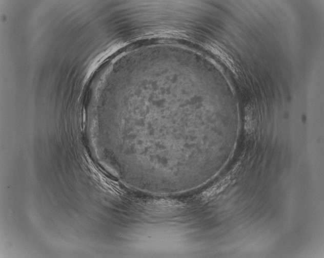 X0000087381117200704271550