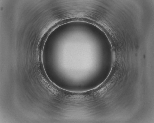 X0000087381118200704271550