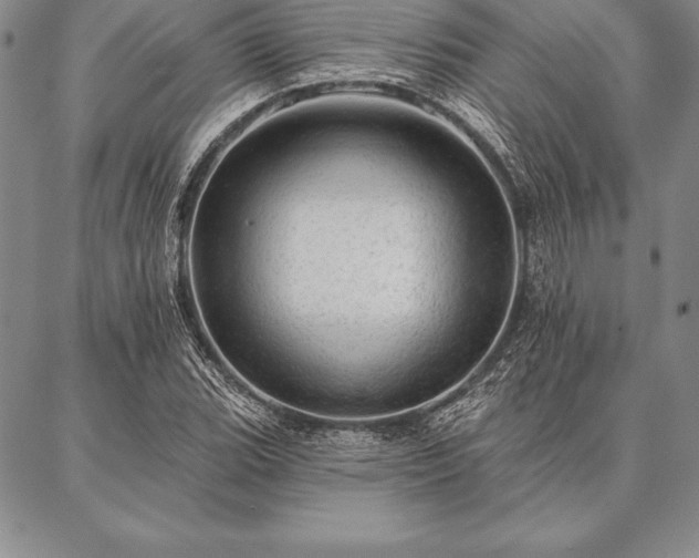 X0000087381119200704271550