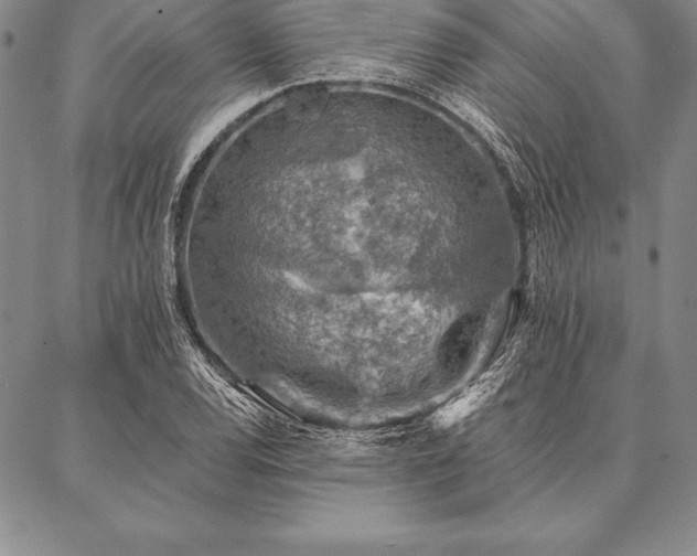 X0000087381120200704271550