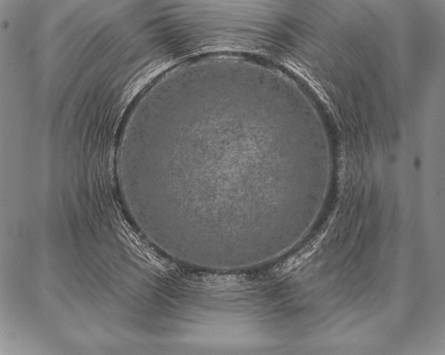 X0000087381121200704271550