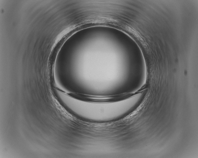 X0000087381122200704271550