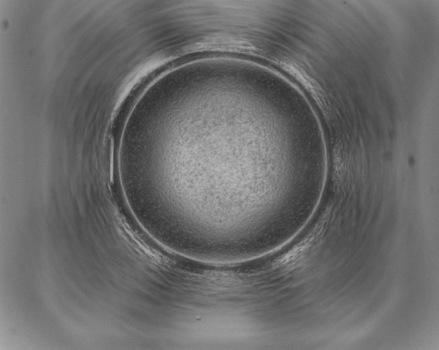 X0000087381123200704271550