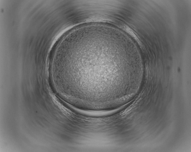 X0000087381124200704271550