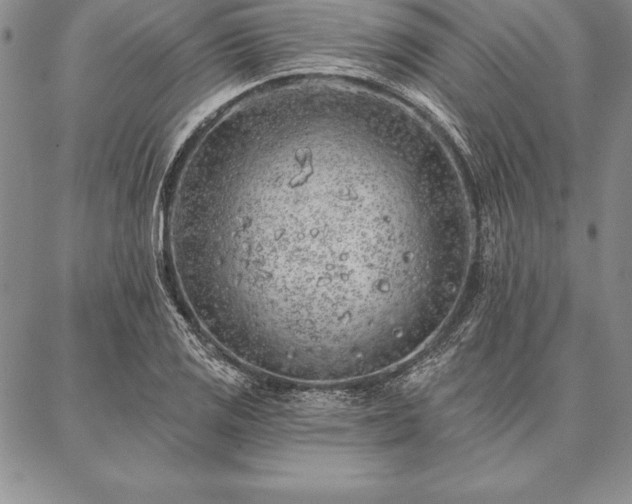 X0000087381125200704271550