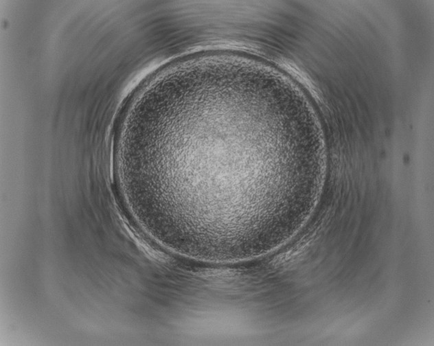 X0000087381127200704271550