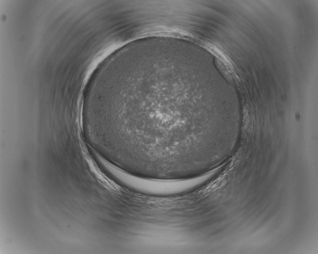 X0000087381128200704271550