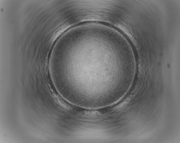 X0000087381129200704271550