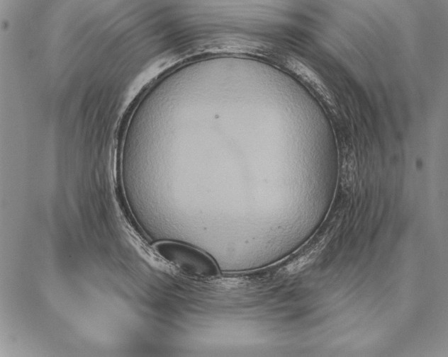 X0000087381130200704271550